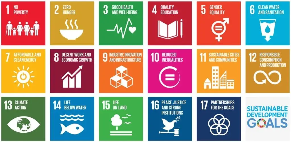 Leveraging innovation to accelerate the achievement of the Sustainable Development Goals